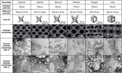 Properties of Additive-Manufactured Open Porous Titanium Structures for Patient-Specific Load-Bearing Implants